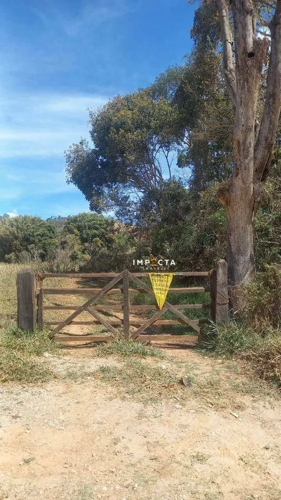 Terreno, 4 hectares - Foto 3