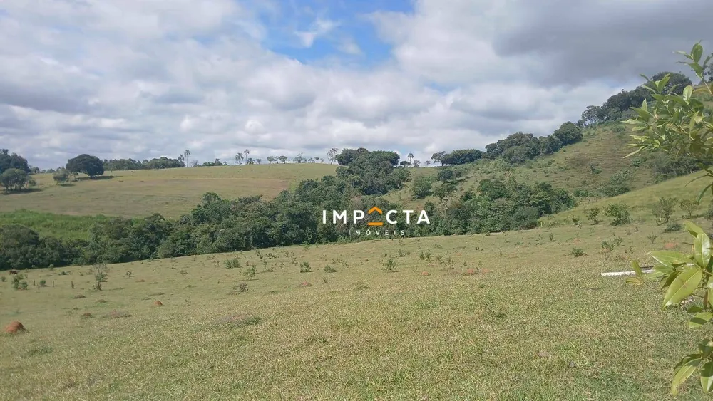 Sítio, 5 hectares - Foto 4
