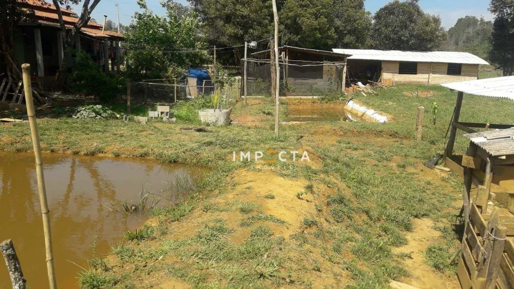 Chácara, 3 quartos, 3 hectares - Foto 1