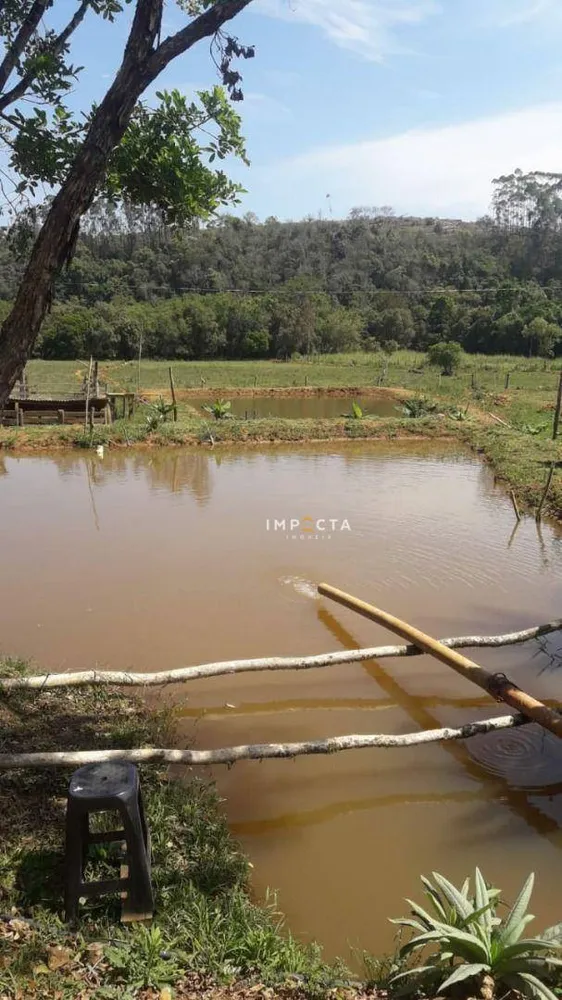 Chácara, 3 quartos, 3 hectares - Foto 6