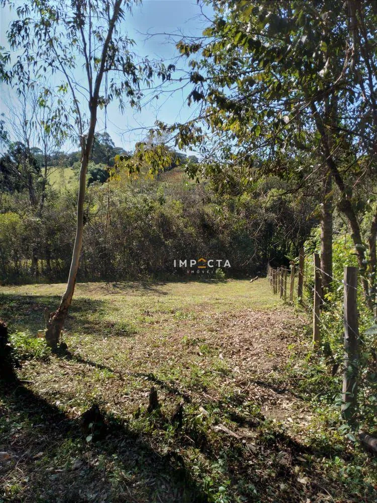 Terreno, 4500 m² - Foto 4