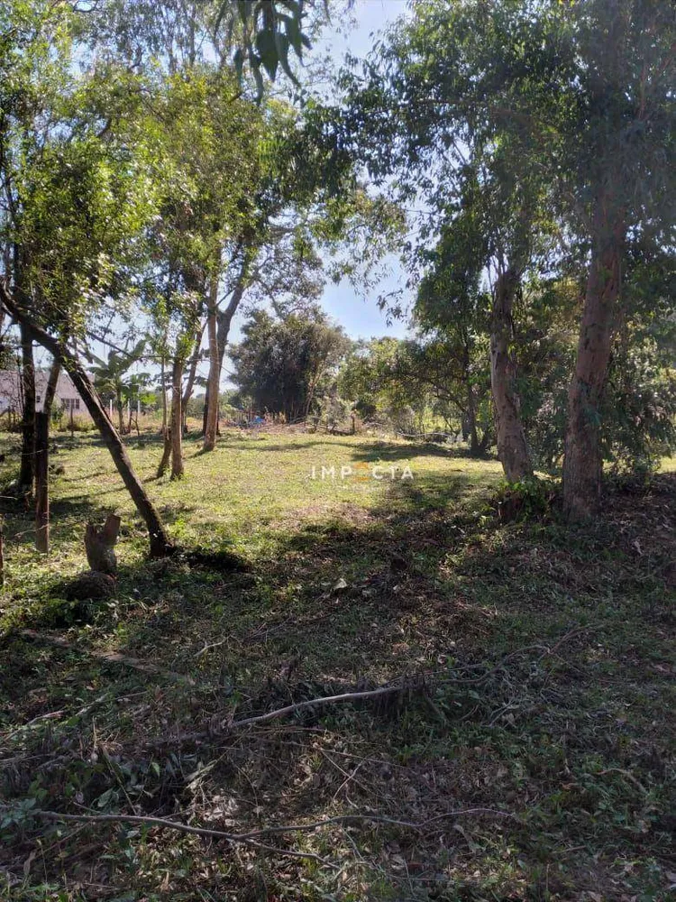 Terreno, 4500 m² - Foto 3