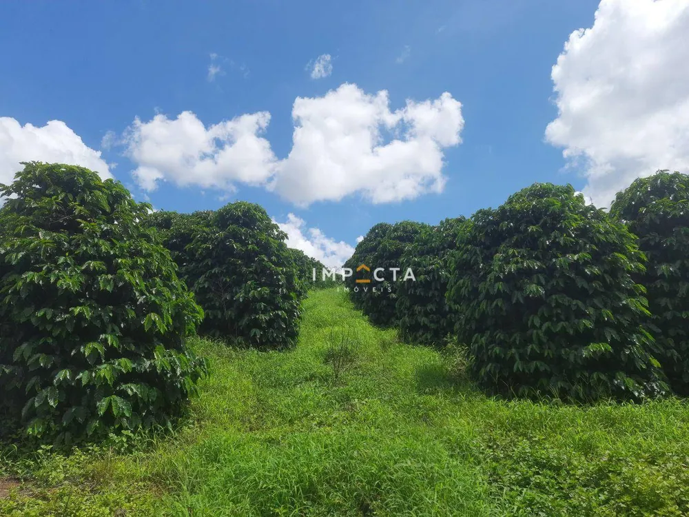 Sítio, 7 hectares - Foto 1