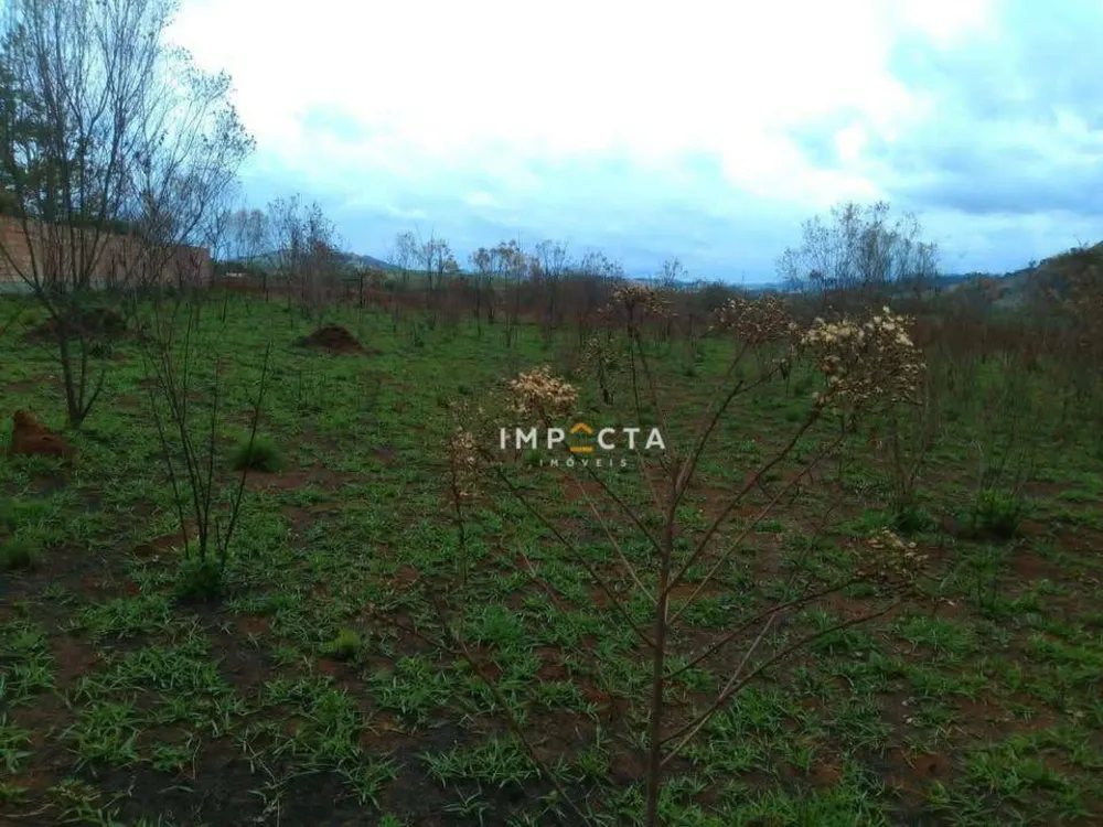 Terreno, 2000 m² - Foto 5