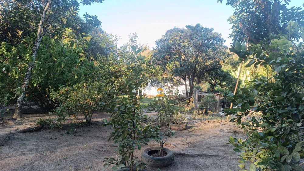 Chácara, 2 quartos, 1500 m² - Foto 3