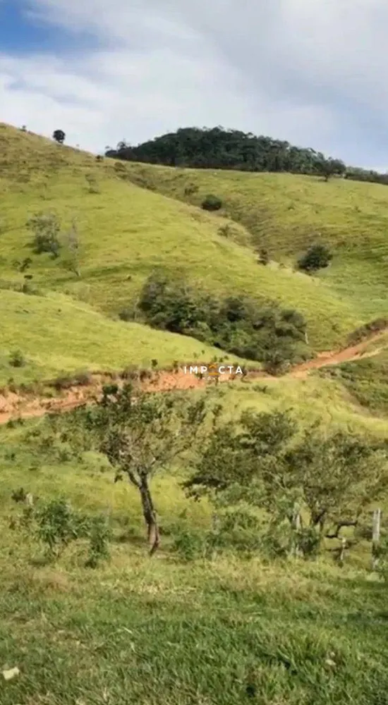 Fazenda, 85 hectares - Foto 3