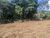 Terreno, 1000 m² - Foto 4