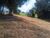 Terreno, 1000 m² - Foto 2
