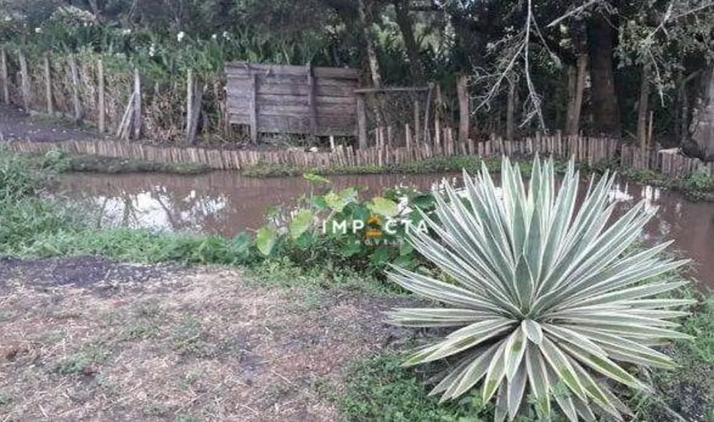 Chácara, 2 quartos, 1600 m² - Foto 6