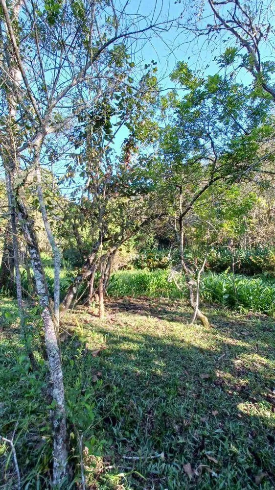 Chácara, 2 quartos, 5200 m² - Foto 7