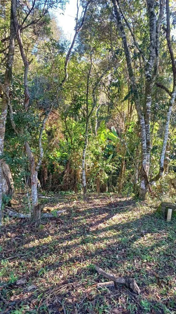 Chácara, 2 quartos, 5200 m² - Foto 8