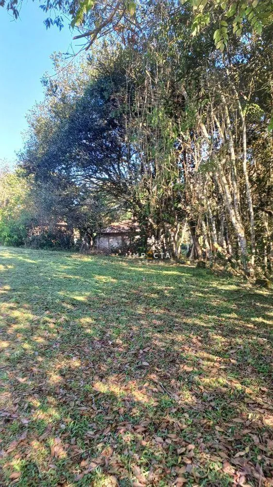 Chácara, 2 quartos, 5200 m² - Foto 2