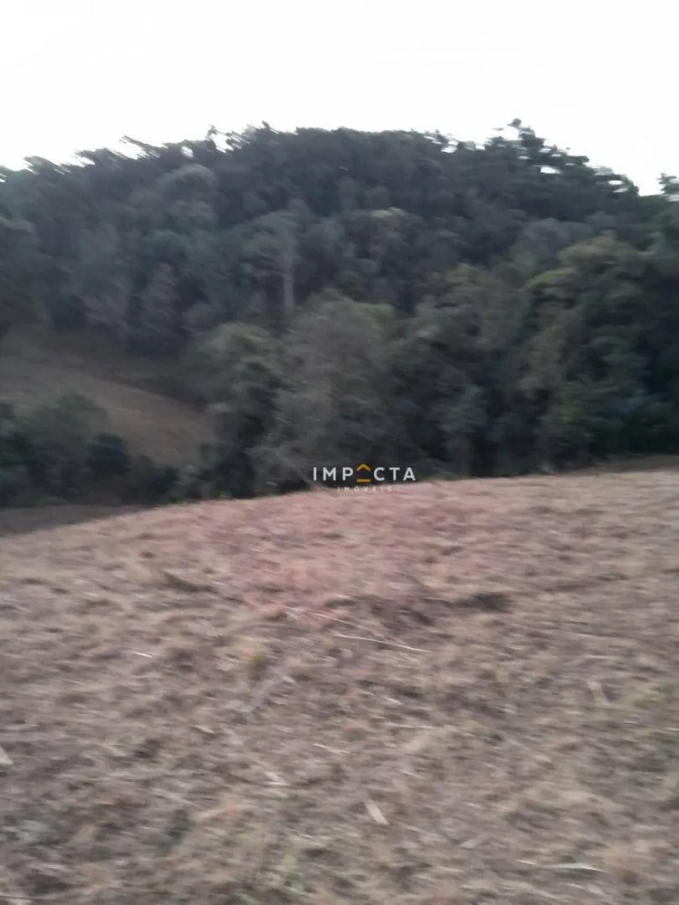 Terreno, 7 hectares - Foto 7