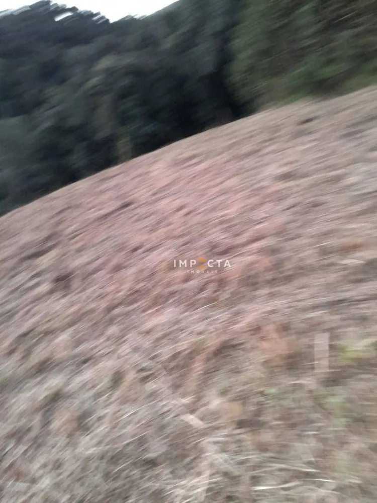 Terreno, 7 hectares - Foto 9