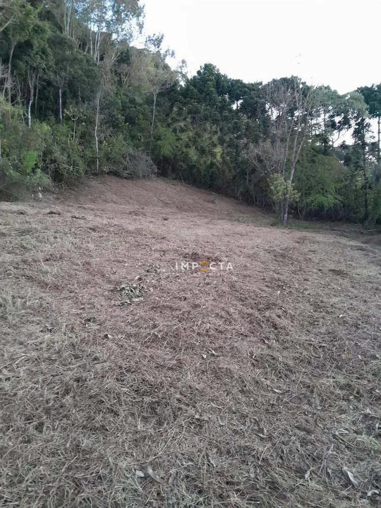 Terreno, 7 hectares - Foto 1
