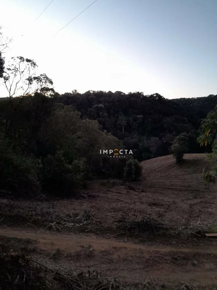 Terreno, 7 hectares - Foto 6