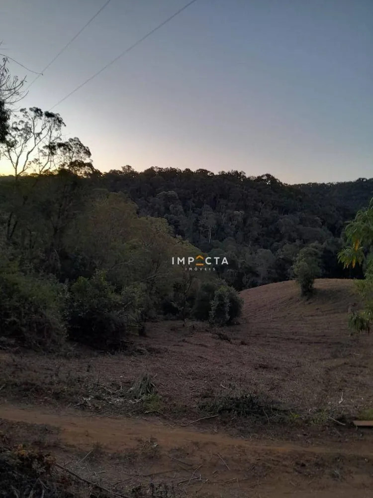 Terreno, 7 hectares - Foto 8