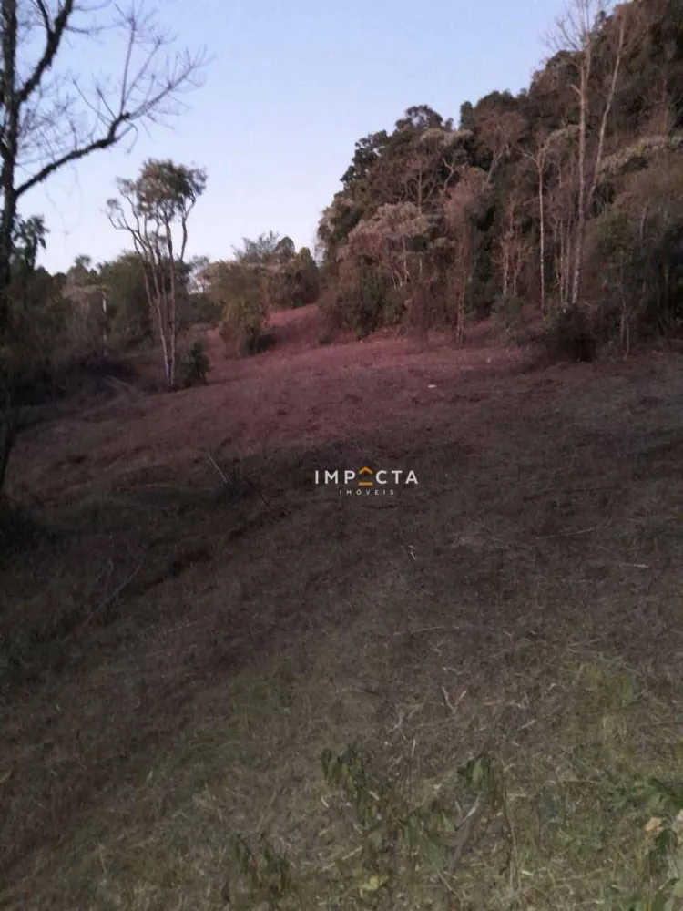 Terreno, 7 hectares - Foto 3