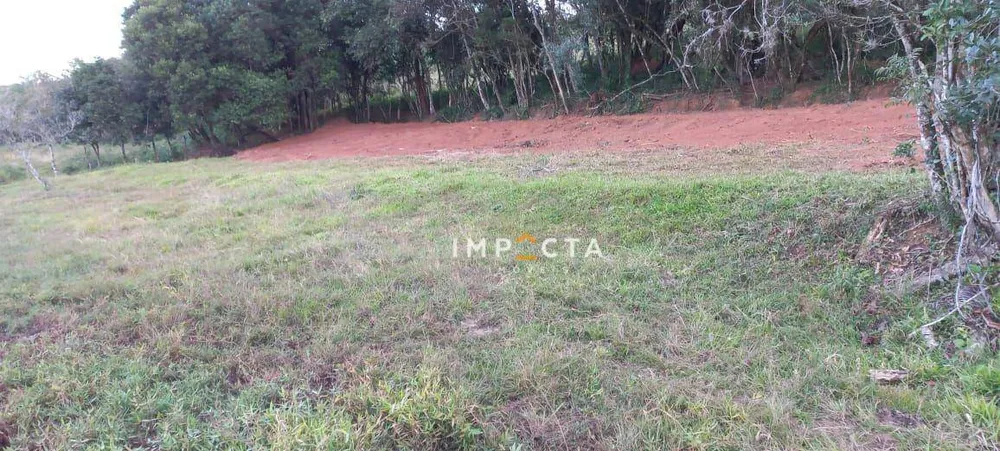 Terreno, 1000 m² - Foto 4