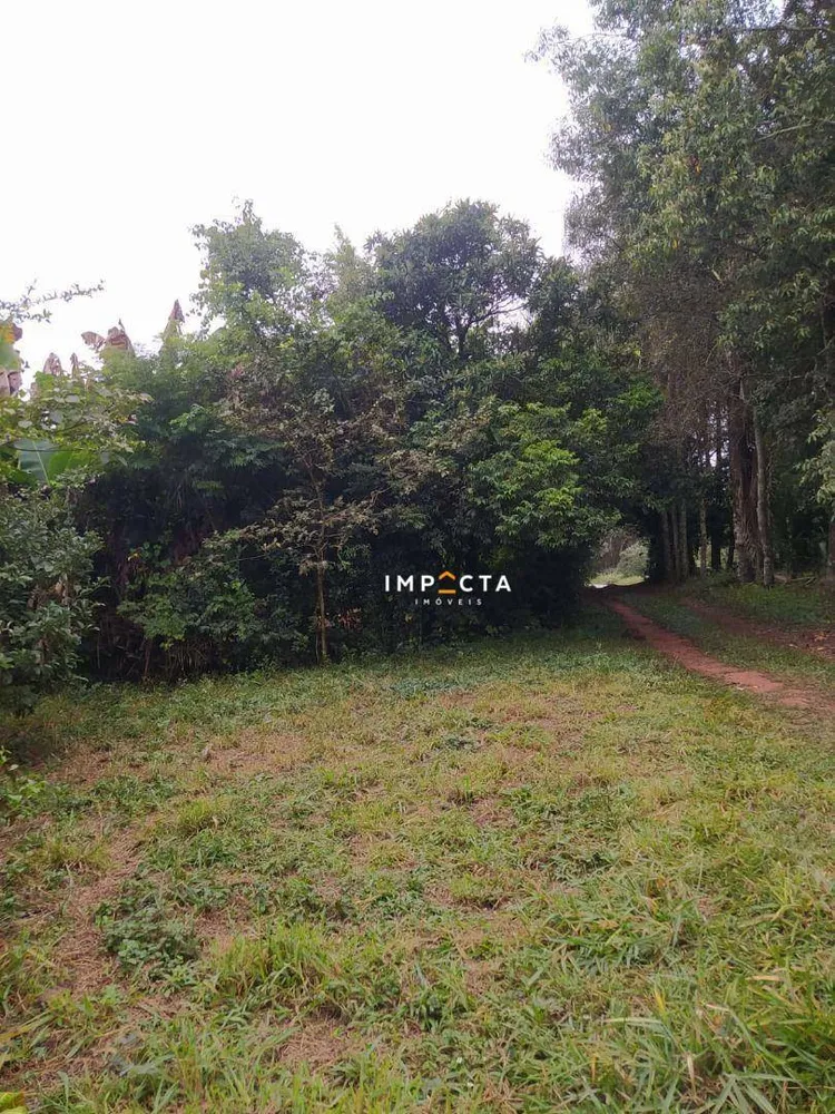Chácara, 2 quartos, 4000 m² - Foto 2