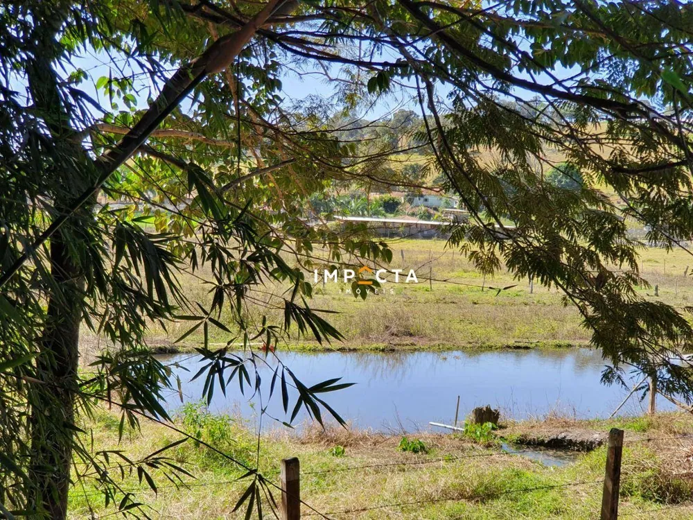 Chácara, 3 quartos, 10000 m² - Foto 5