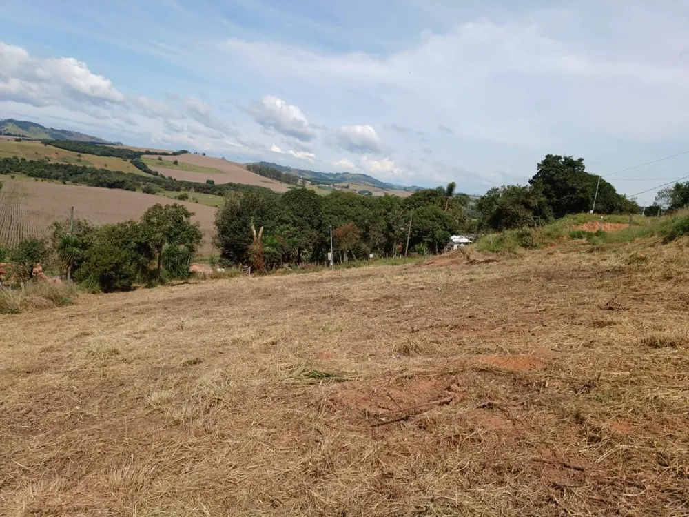 Chácara, 4 quartos, 2000 m² - Foto 4