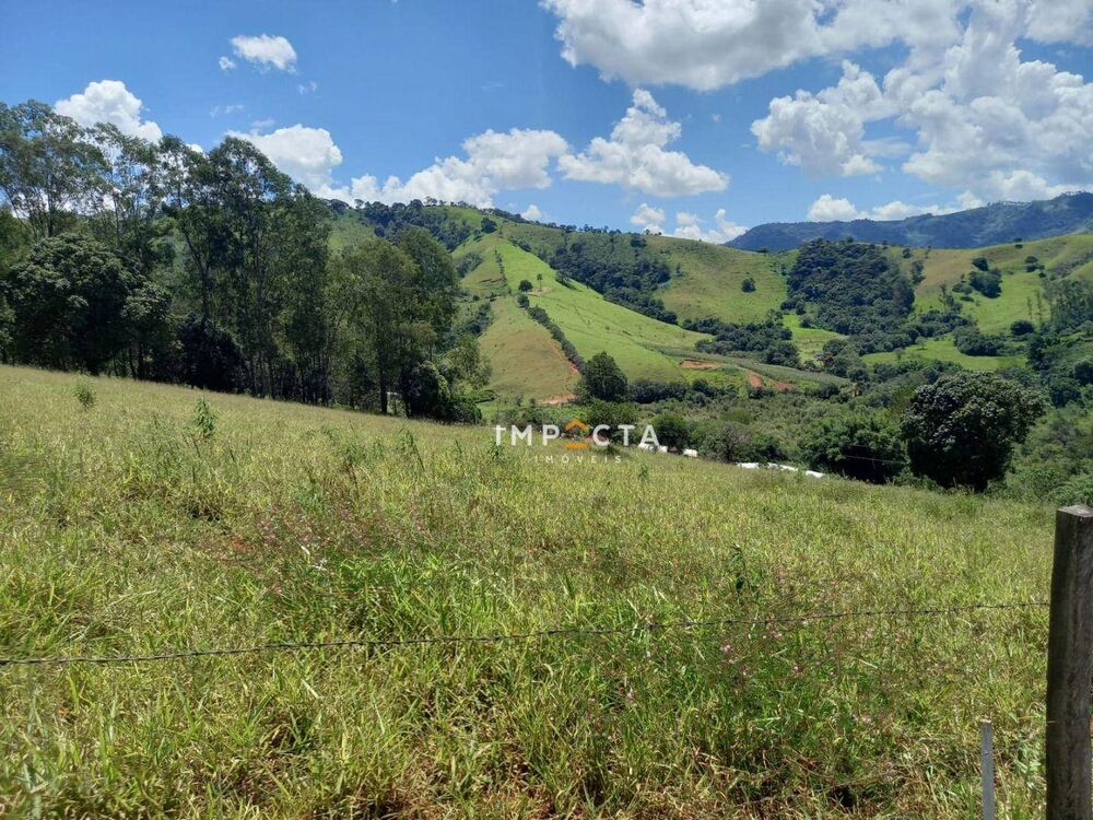 Terreno à venda, 3350M2 - Foto 7