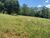 Terreno, 3350 m² - Foto 4