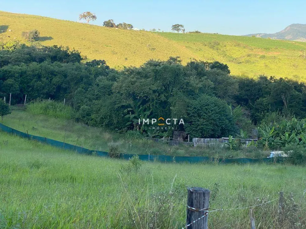 Terreno, 3 hectares - Foto 1