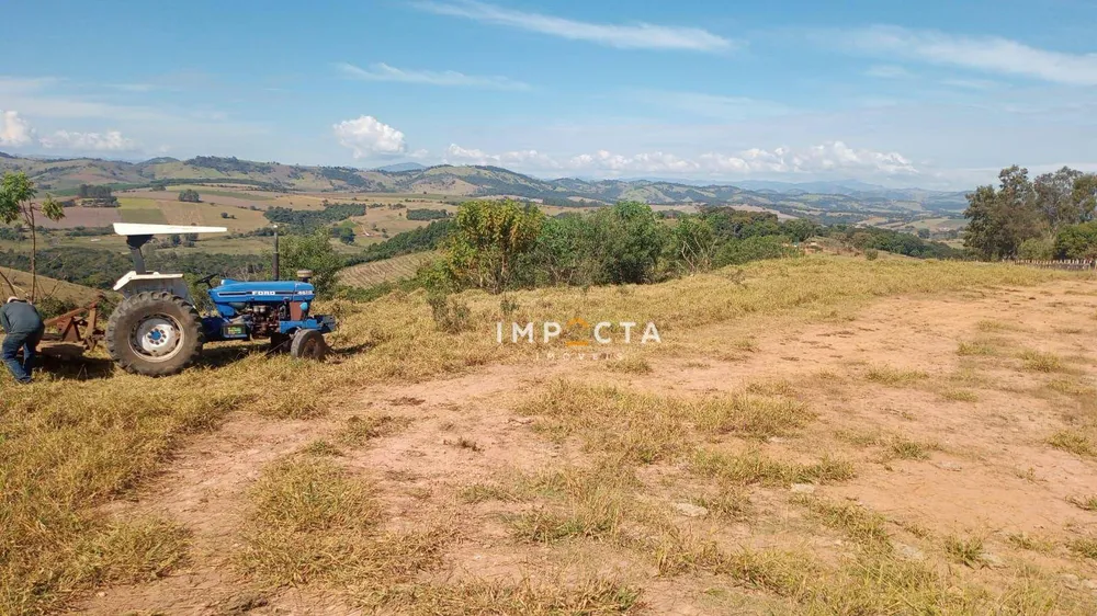 Terreno, 3 hectares - Foto 4
