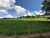 Sítio, 5 quartos, 43 hectares - Foto 2