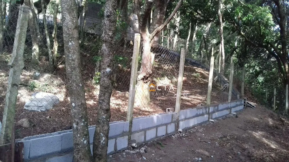 Chácara, 3 quartos, 8000 m² - Foto 5