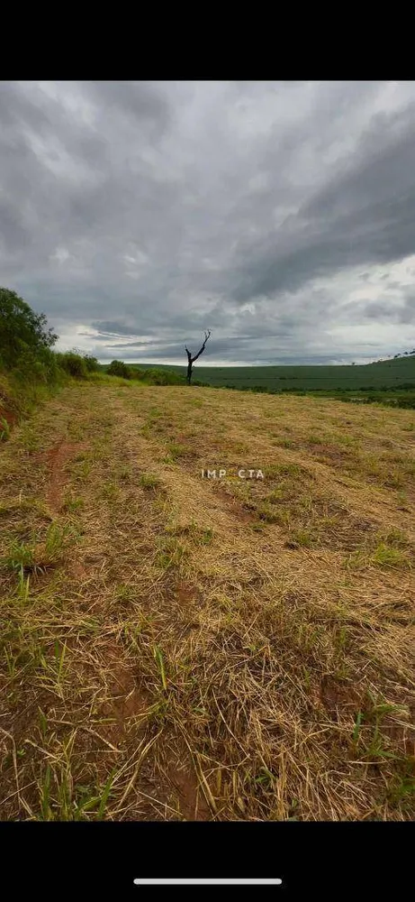 Terreno, 8000 m² - Foto 3