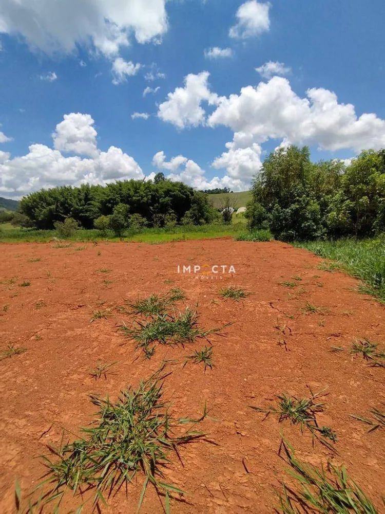Terreno, 10000 m² - Foto 4