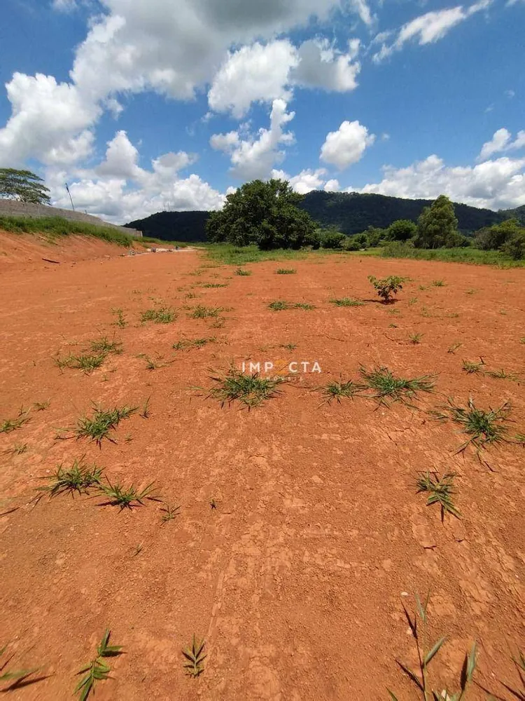 Terreno, 10000 m² - Foto 2