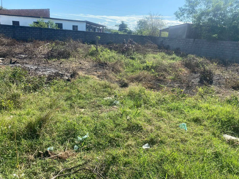 Terreno, 376 m² - Foto 3