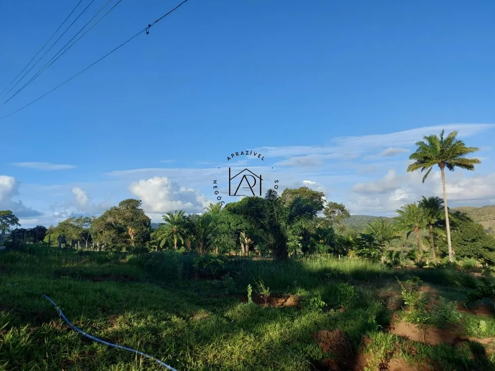 Fazenda, 17 hectares - Foto 3
