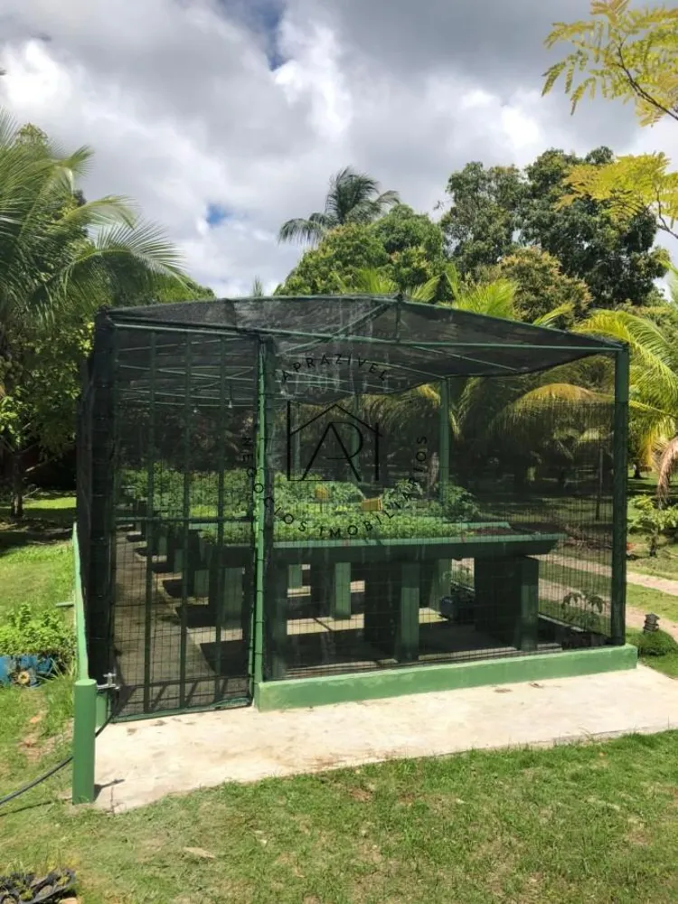 Casa - Foto 4