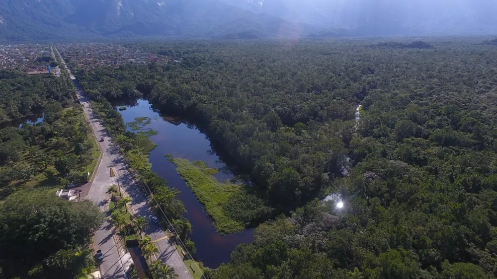 Casa, 4 quartos - Foto 10