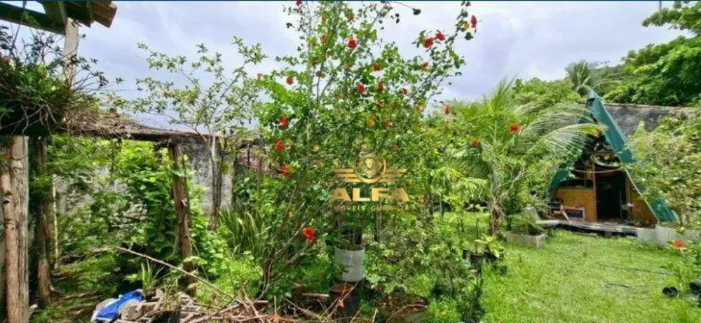 Terreno, 257 m² - Foto 7