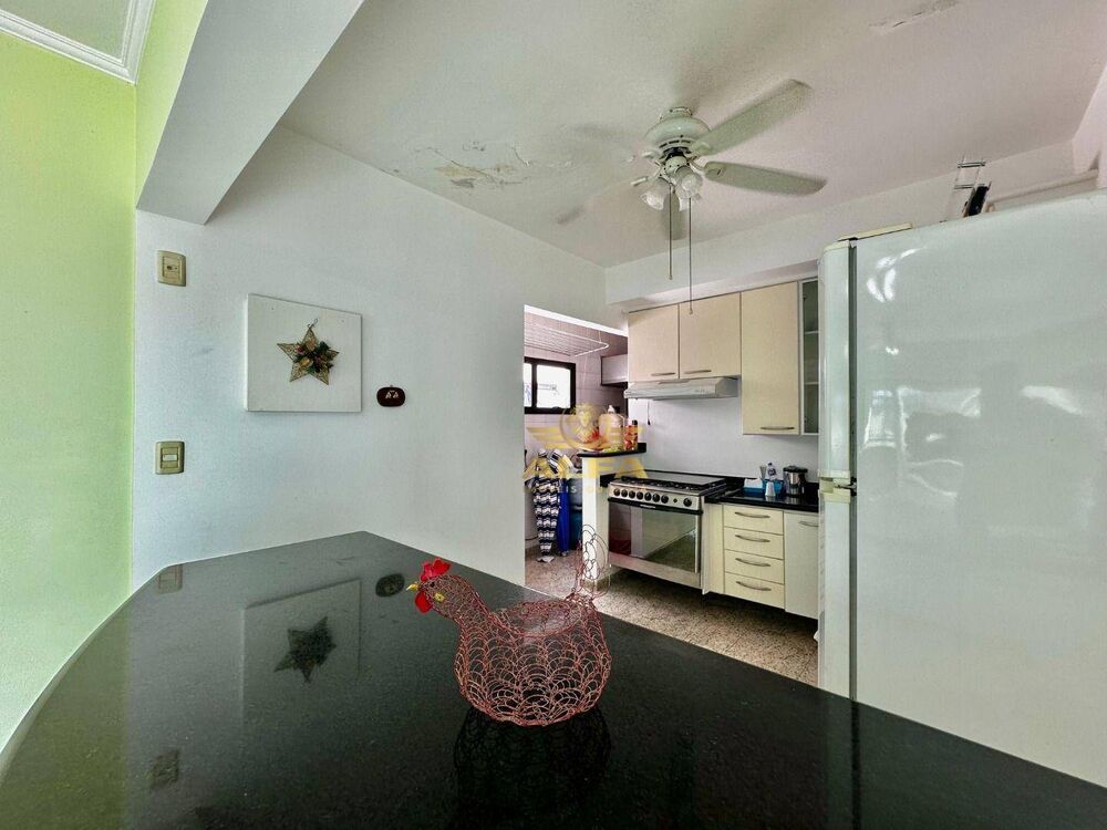 Cobertura, 4 quartos, 261 m² - Foto 27