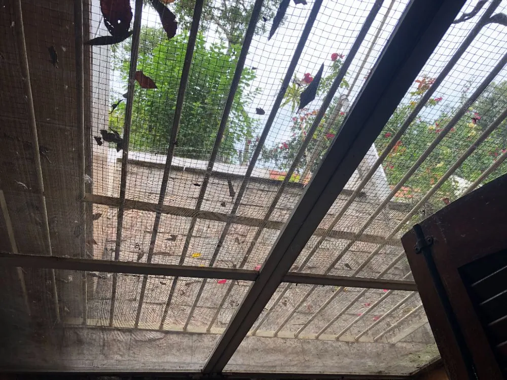 Casa, 3 quartos, 151 m² - Foto 10