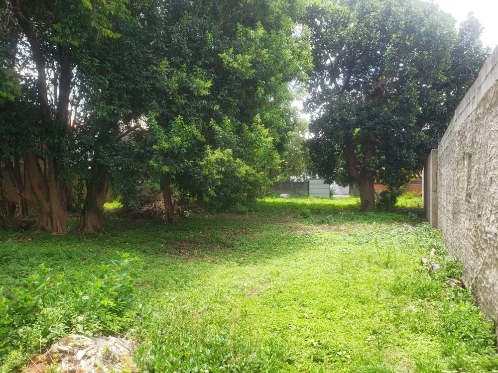 Terreno, 1000 m² - Foto 9