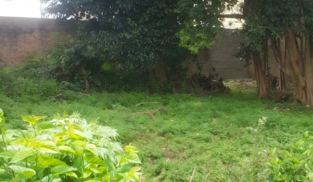 Terreno, 1000 m² - Foto 10