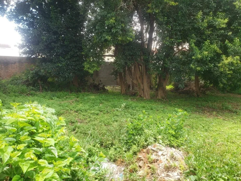 Terreno, 1000 m² - Foto 7