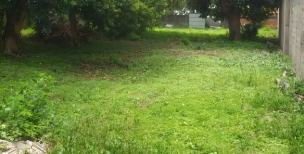 Terreno, 1000 m² - Foto 5