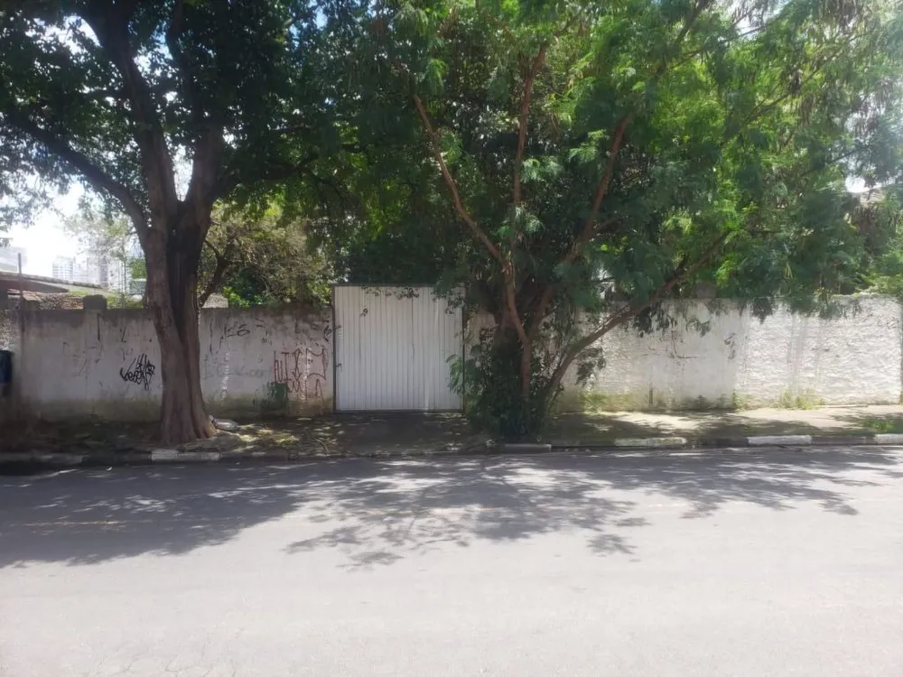 Terreno, 1000 m² - Foto 3