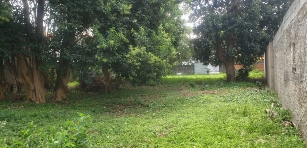 Terreno, 1000 m² - Foto 4