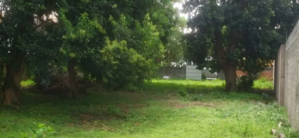 Terreno, 1000 m² - Foto 6