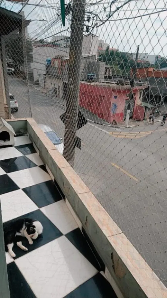 Sobrado, 2 quartos, 114 m² - Foto 6